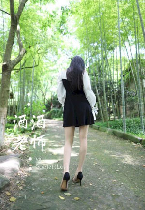 欧美同学会秘书长_DVD全集免费观看